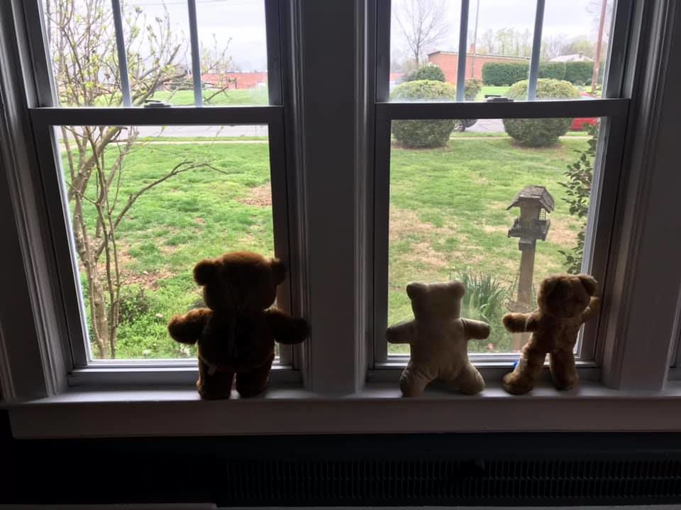 bear hunt photos (11).jpg